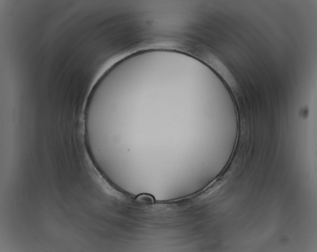 X0000089451436200707131917