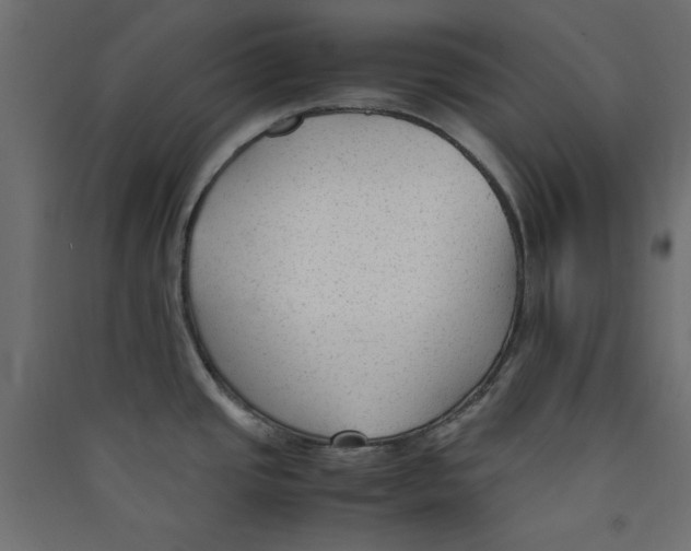 X0000089451437200707131917