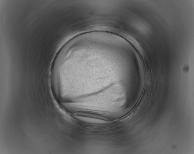 X0000089451439200707131918