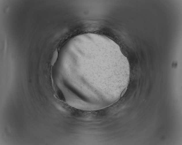 X0000089451441200707131917