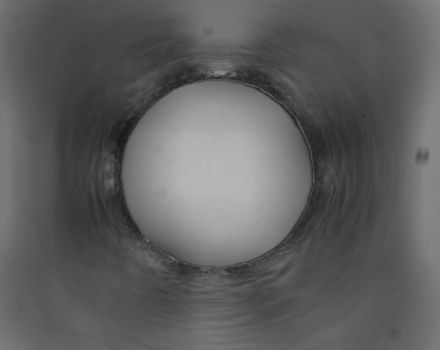 X0000089451442200707131917