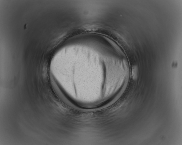 X0000089451444200707131917