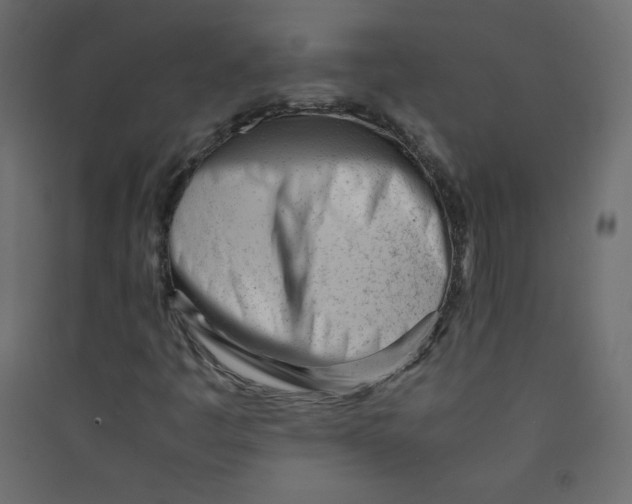 X0000089451445200707131917