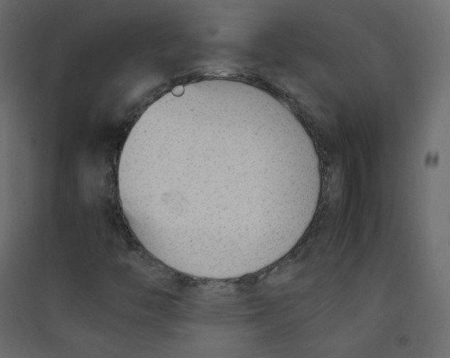 X0000089451446200707131917