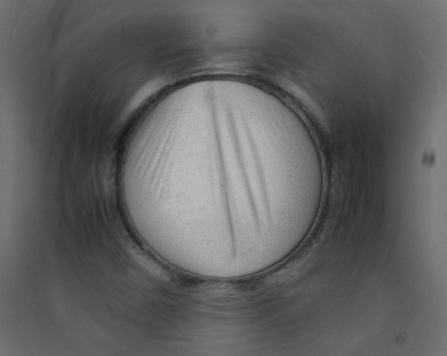 X0000089451450200707131917