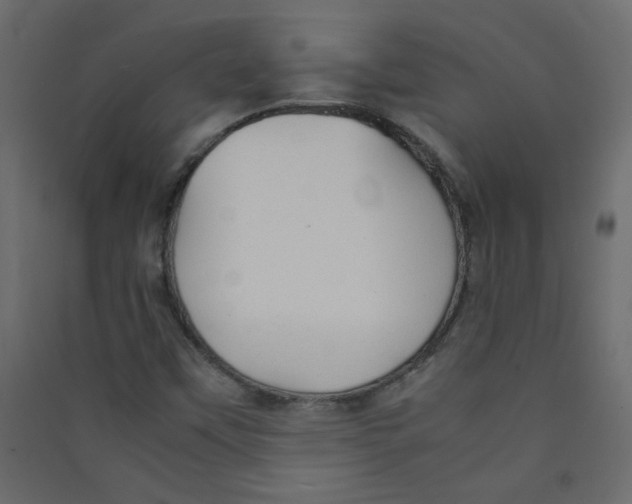 X0000089451451200707131917