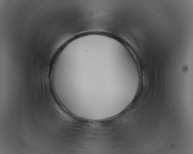 X0000089451452200707131917