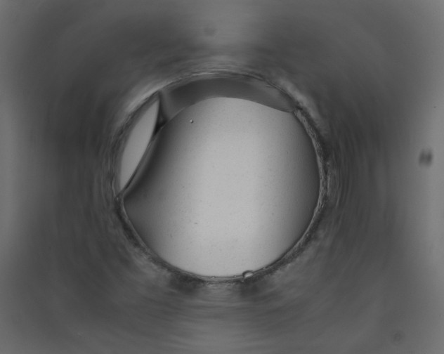 X0000089451453200707131917