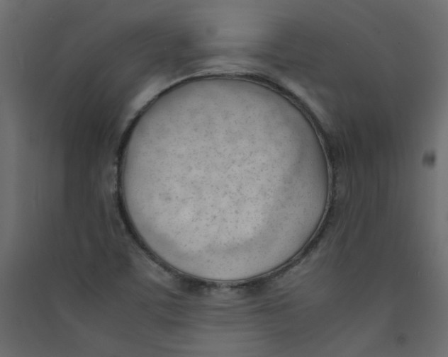 X0000089451459200707131917