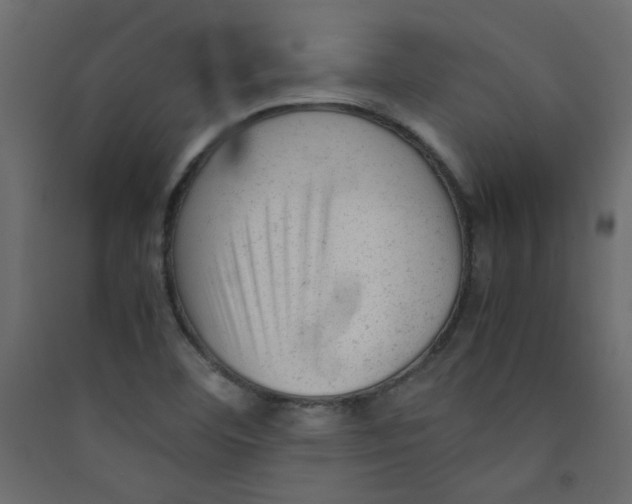 X0000089451460200707131917