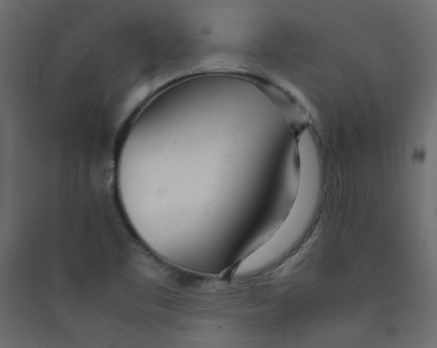 X0000089451461200707131917