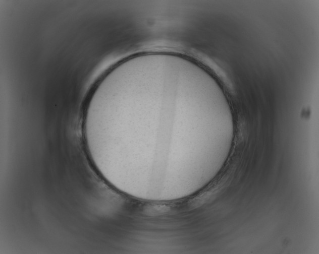 X0000089451462200707131916