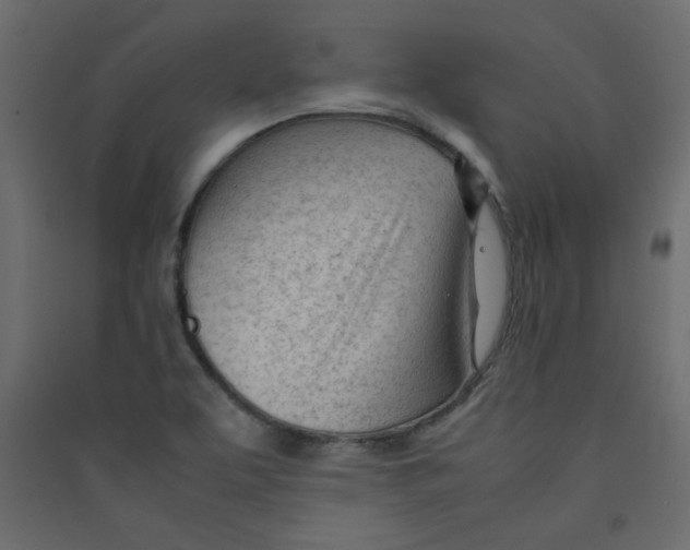 X0000089451463200707131916