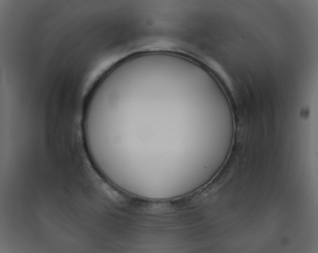 X0000089451464200707131916