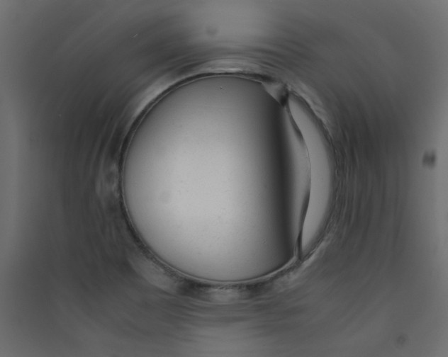 X0000089451465200707131916