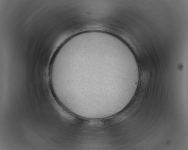 X0000089451466200707131916