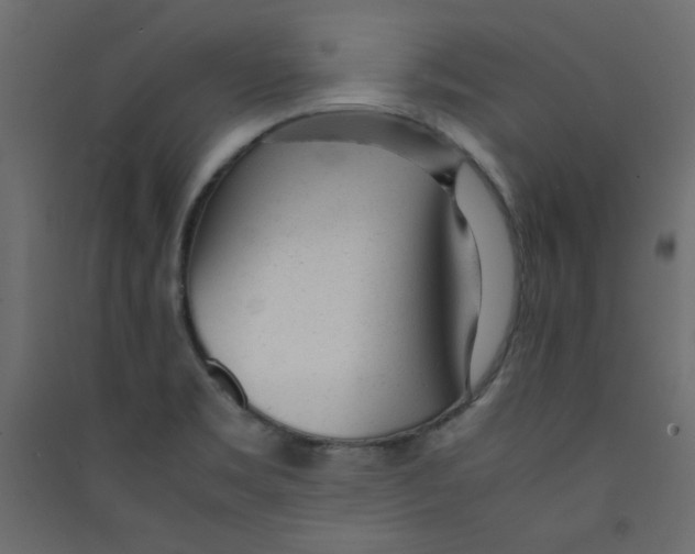 X0000089451469200707131916