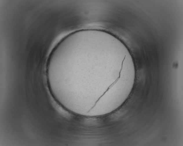 X0000089451470200707131916