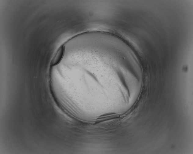 X0000089451471200707131916