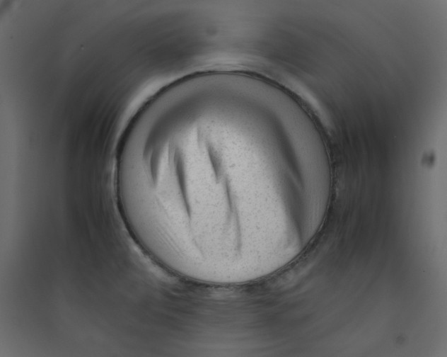 X0000089451472200707131916