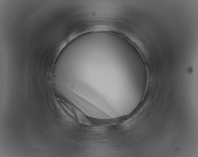 X0000089451473200707131916