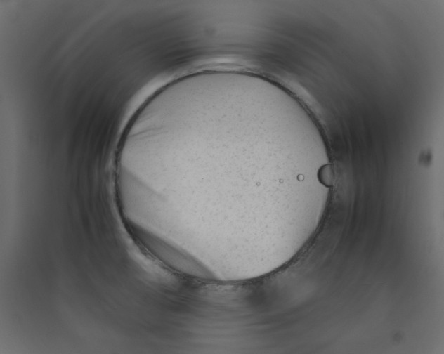 X0000089451474200707131916