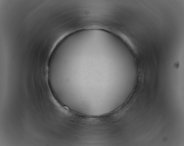 X0000089451476200707131916