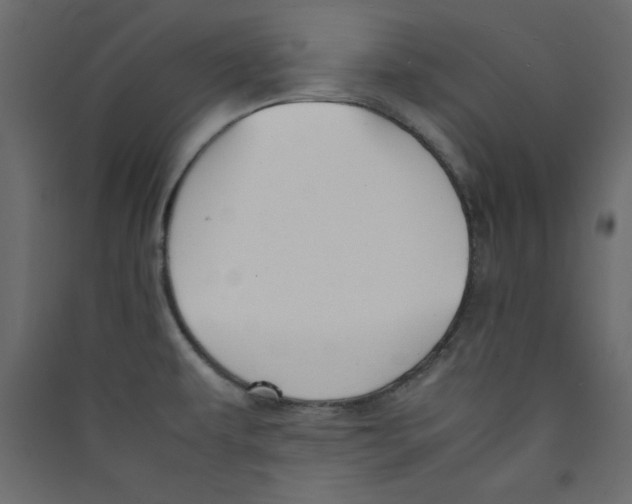 X0000089451479200707131916