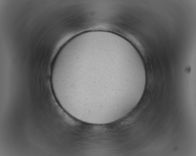 X0000089451480200707131916