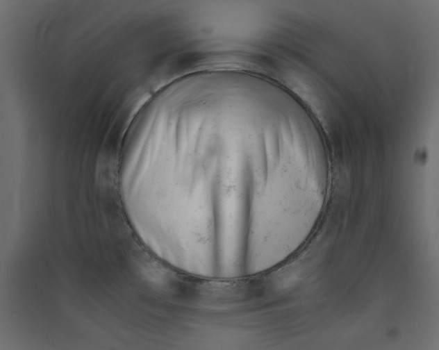 X0000089451481200707131916