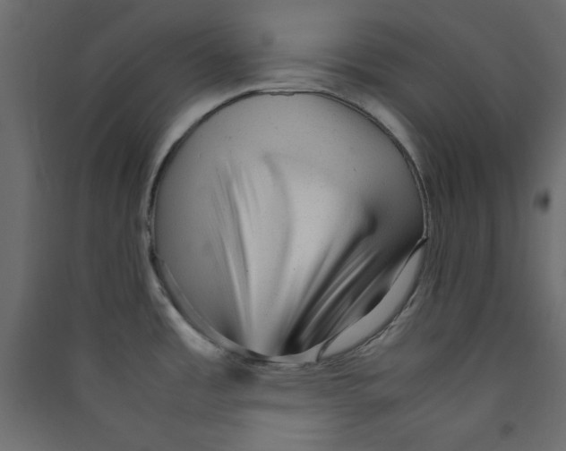 X0000089451485200707131916