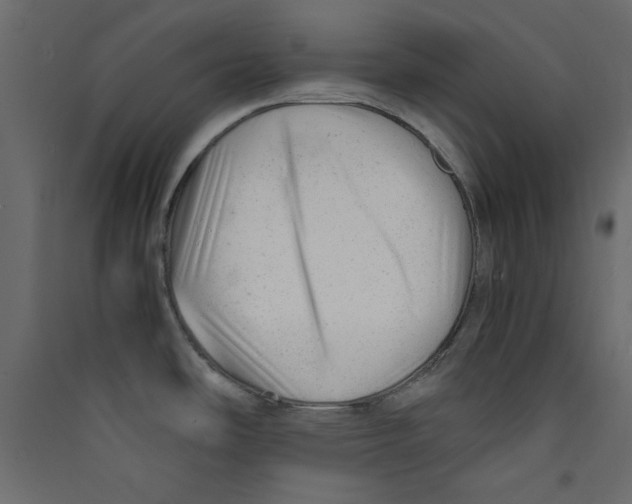 X0000089451486200707131916