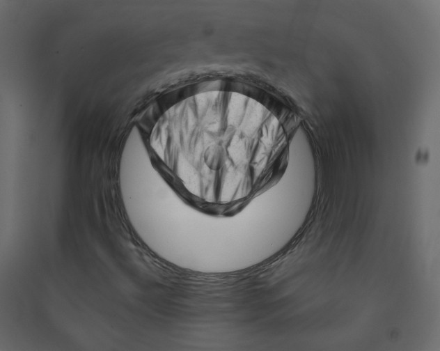 X0000089451492200707131915