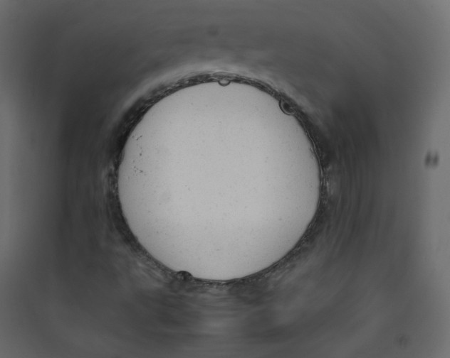 X0000089451495200707131915