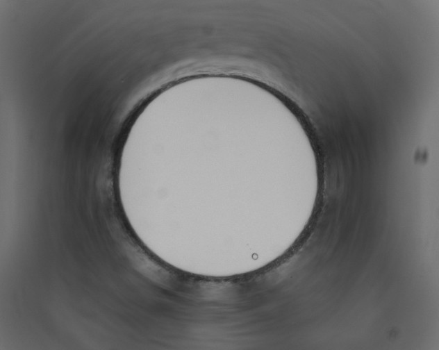 X0000089451498200707131916