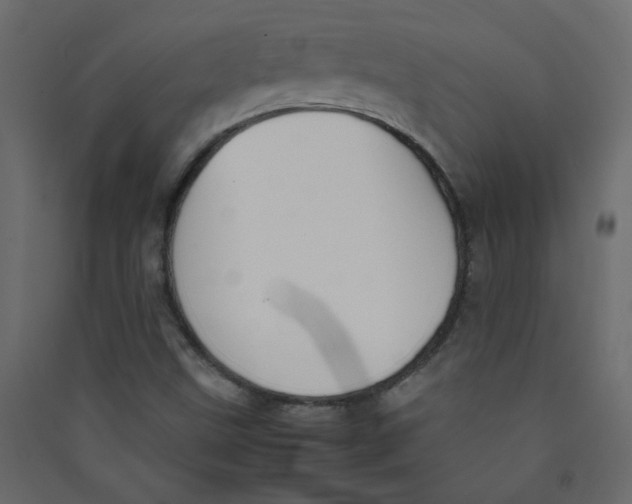 X0000089451499200707131916