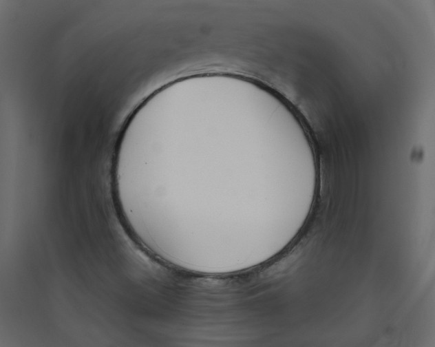 X0000089451500200707131916