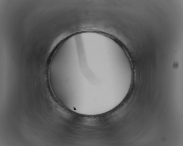 X0000089451501200707131916