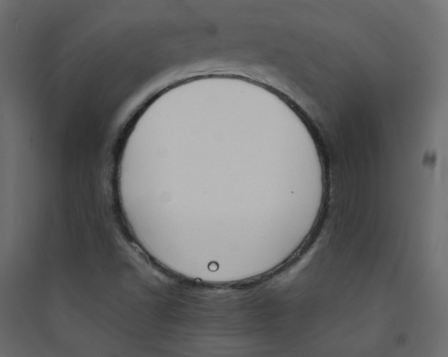 X0000089451502200707131916