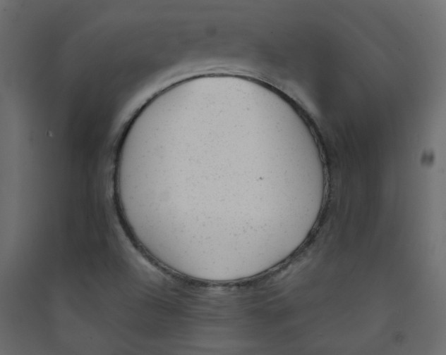 X0000089451504200707131916