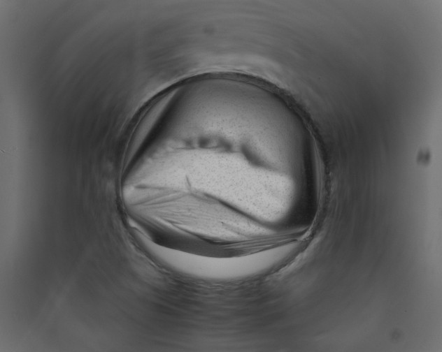 X0000089451505200707131916