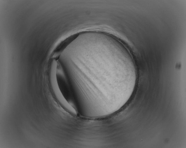 X0000089451506200707131916