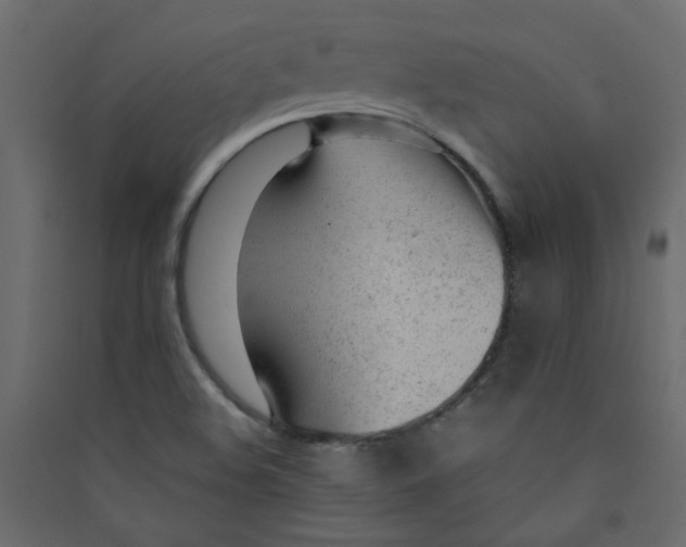 X0000089451508200707131916