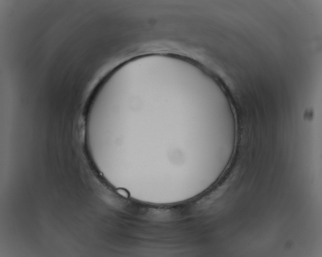 X0000089451509200707131916