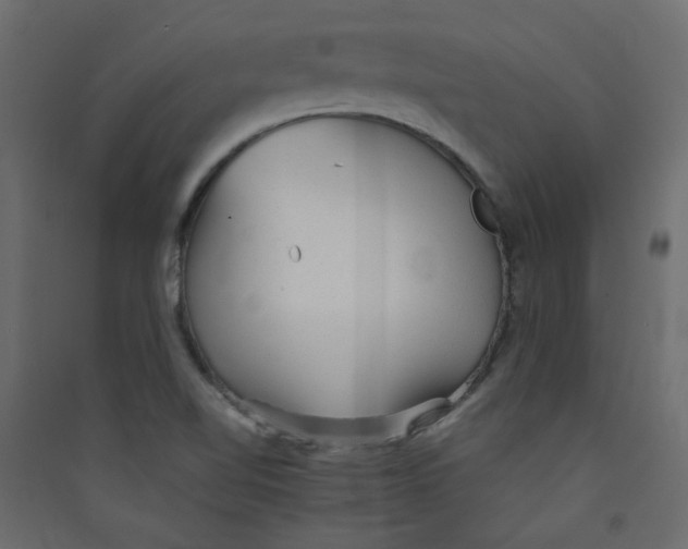 X0000089451510200707131916