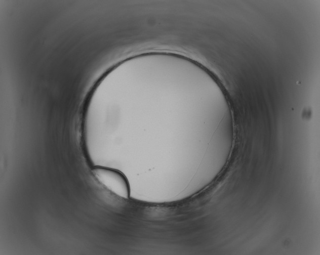 X0000089451511200707131916