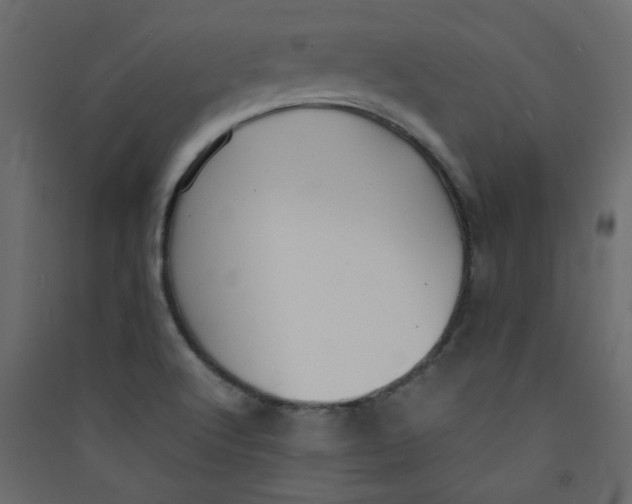 X0000089451512200707131916