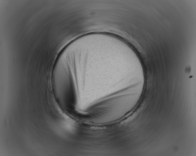 X0000089451513200707131916