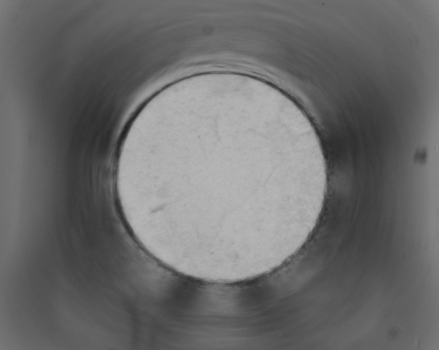 X0000089451514200707131916