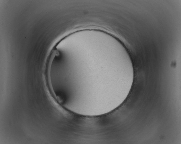 X0000089451518200707131916